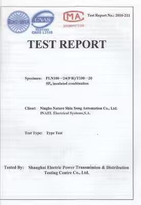 Test Report